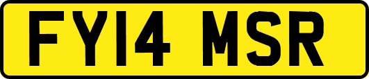 FY14MSR