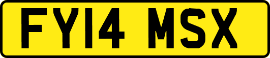 FY14MSX