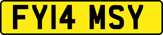 FY14MSY