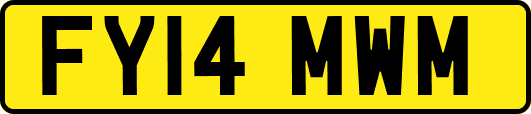 FY14MWM