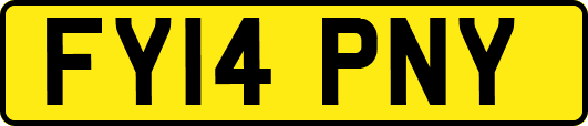 FY14PNY