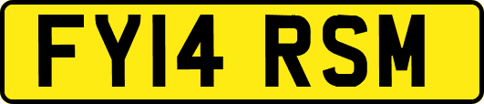 FY14RSM