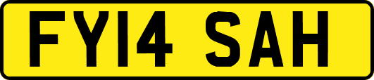 FY14SAH