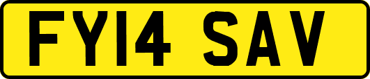 FY14SAV