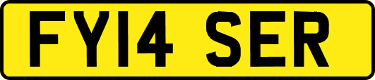 FY14SER