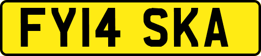 FY14SKA