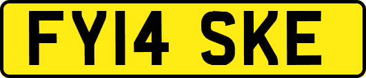 FY14SKE