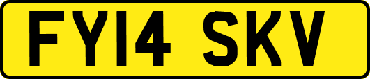 FY14SKV