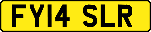 FY14SLR