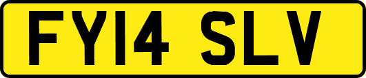 FY14SLV