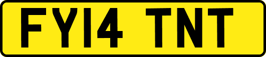 FY14TNT