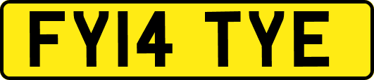 FY14TYE