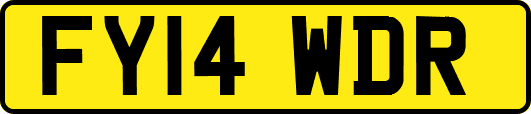 FY14WDR