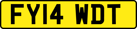 FY14WDT