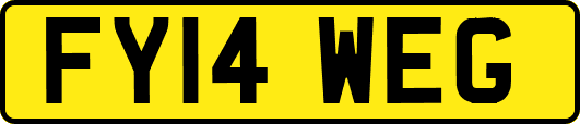 FY14WEG
