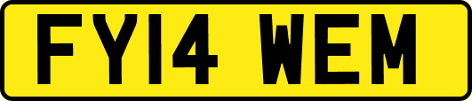 FY14WEM
