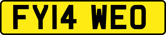 FY14WEO