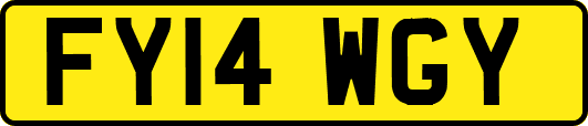 FY14WGY