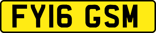 FY16GSM
