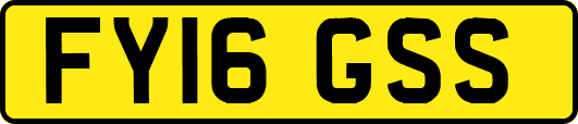FY16GSS