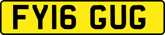 FY16GUG