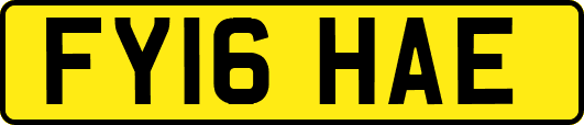 FY16HAE