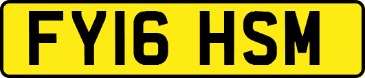 FY16HSM