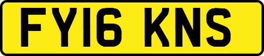 FY16KNS