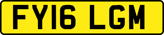 FY16LGM