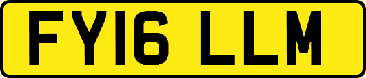 FY16LLM