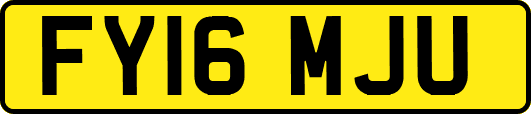 FY16MJU