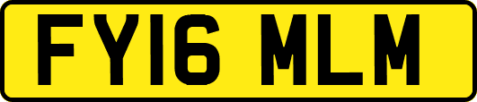 FY16MLM