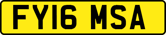 FY16MSA