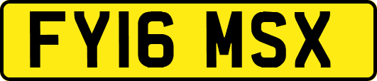 FY16MSX
