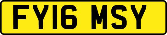FY16MSY