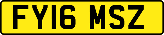 FY16MSZ