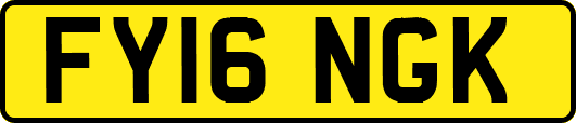 FY16NGK