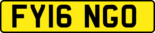 FY16NGO