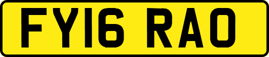 FY16RAO