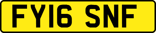 FY16SNF