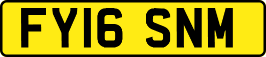 FY16SNM