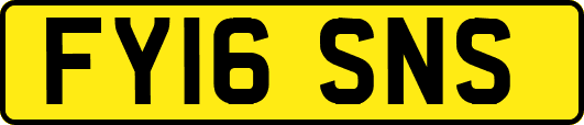 FY16SNS