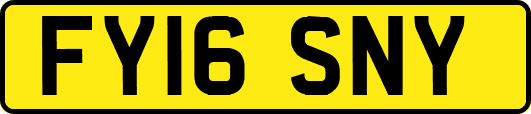 FY16SNY