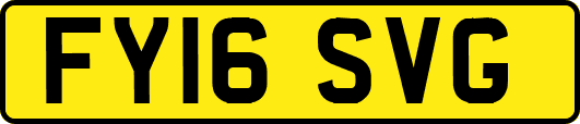 FY16SVG