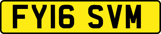 FY16SVM
