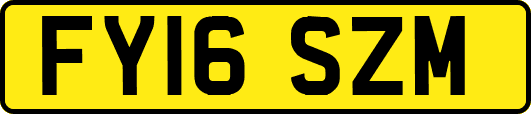 FY16SZM