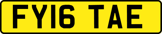 FY16TAE