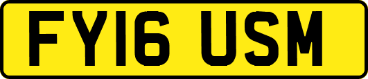 FY16USM