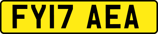 FY17AEA