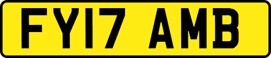FY17AMB